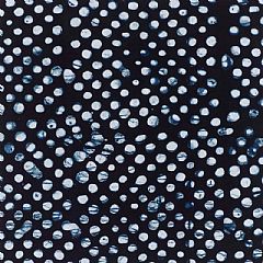 Photo for Kenoo Indigo Damask