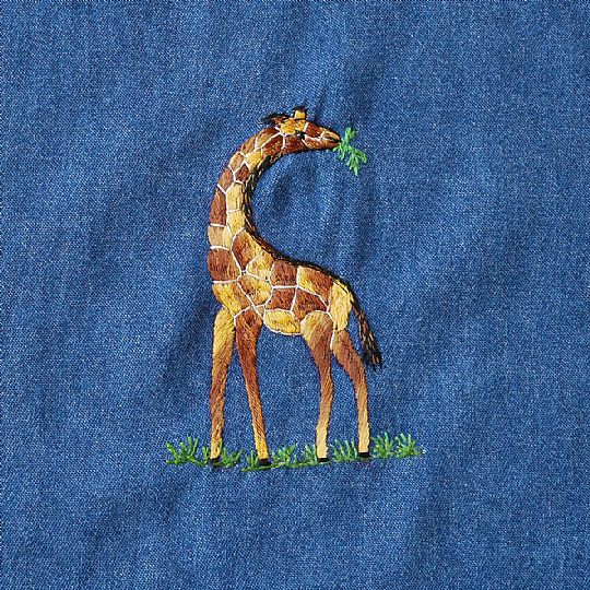 image for Giraffe eating