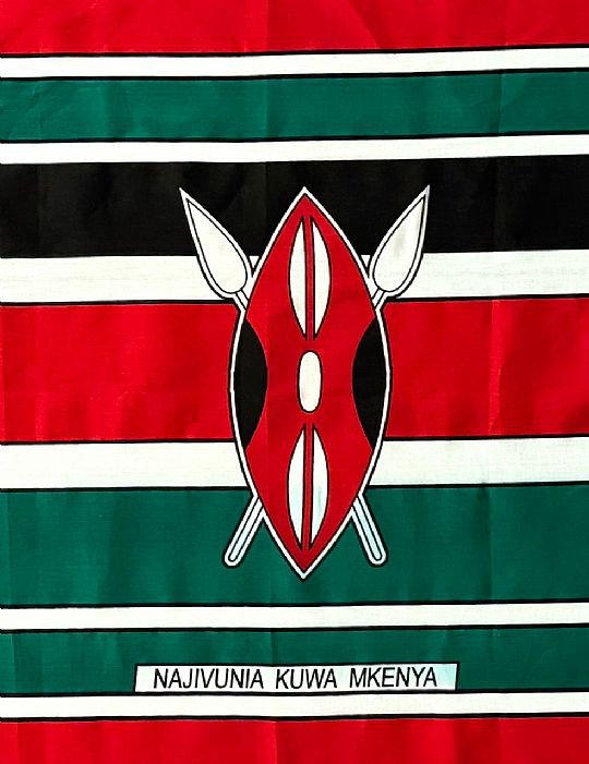 image for Kenya Flag Kanga