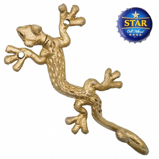 Photo for Large Gecko Brass Hook