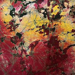 Photo for Esther 842